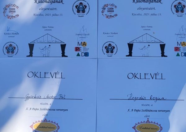 XXI. Kiscsőszi Pajkafesztivál