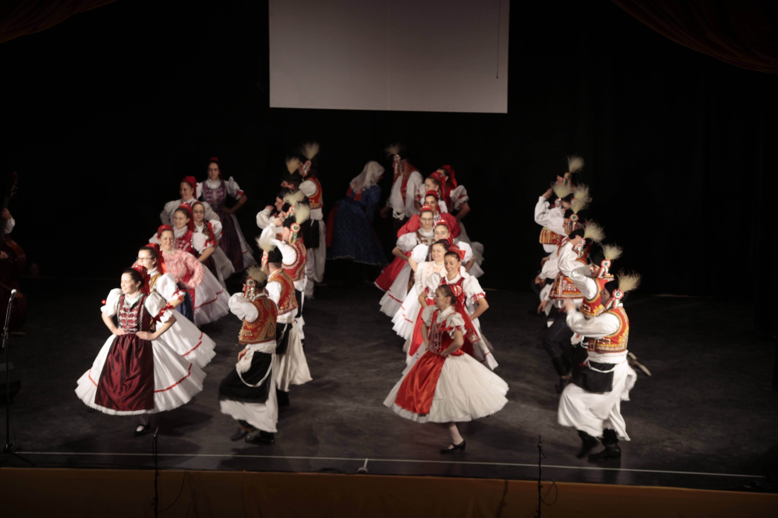 Sortánc (Csörgő pulyka)